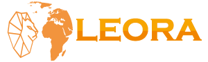 Leora Global Dış Ticaret | Aydınlatma direkleri ve Sondaj Makineleri